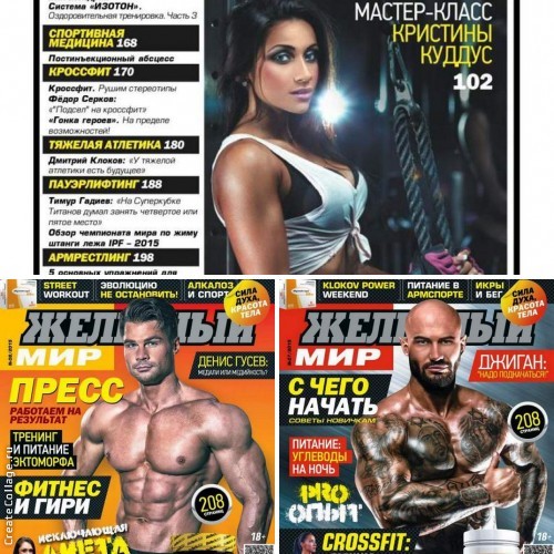 Читать газету спорт уикенд. Обложки журнала Железный мир. Железный мир книга. Джиган Железный мир. Журнал Железный мир 10 2013.